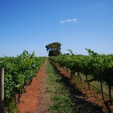 Coonawarra