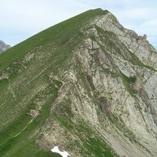 Strahlkopf