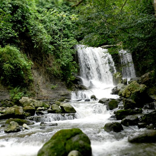 Parco nazionale di Juan Crisóstomo Falcón