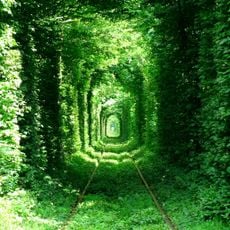 Tunnel dell'amore di Klevan