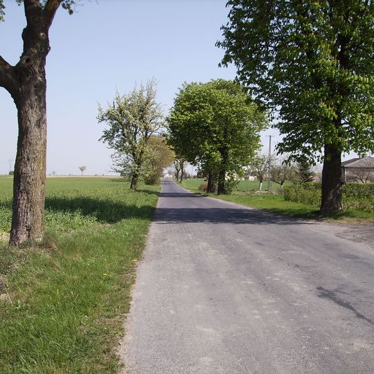 Nowy Dwór Królewski