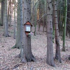 Obrázek u Pivonína vedle silnice