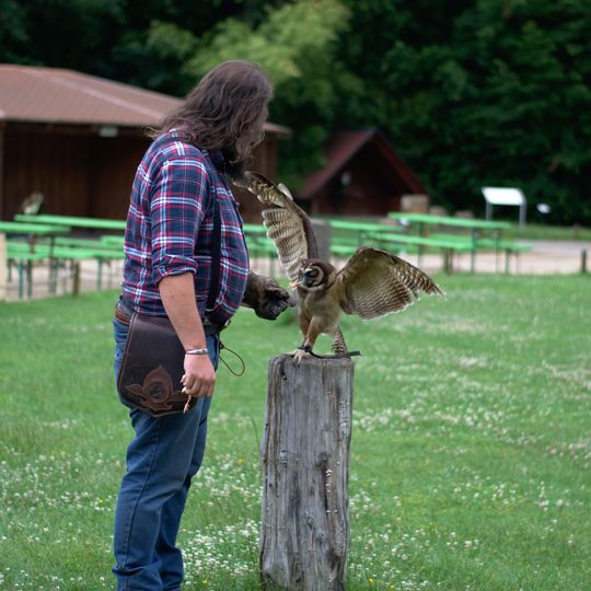 Zoofalknerei Neunkirchen