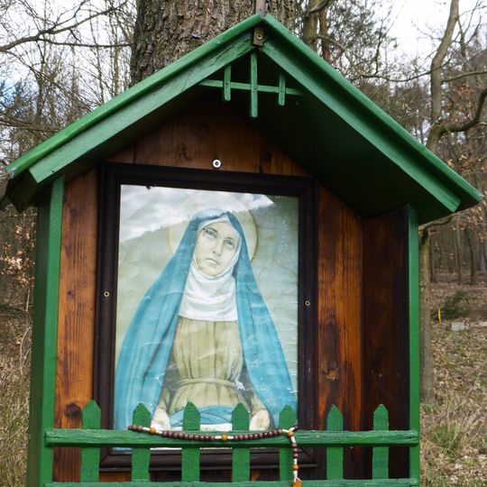 Bildbaum Maria mit Dornenkrone, Zitternberg Nr. 99