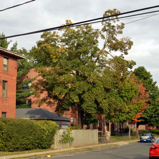 Collins and Townley Streets District