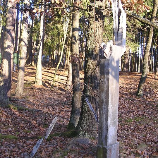 Obrázek na stromě na hřebenu Brd po vrchem Hradec