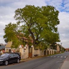 Jerlín v Obříství