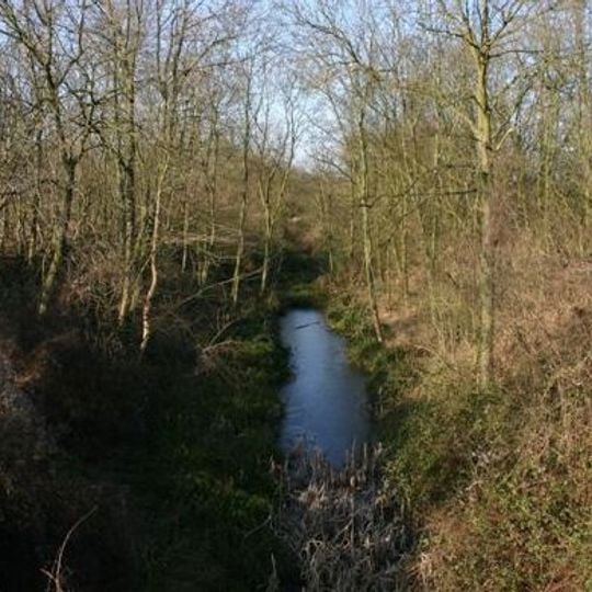 Old Warden Tunnel nature reserve