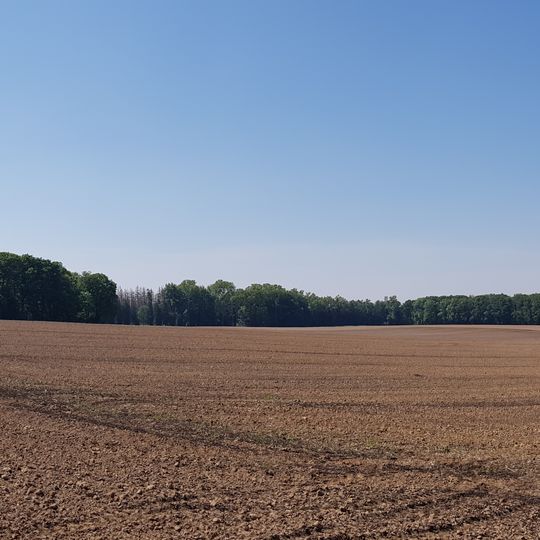 Belgium-Netherlands boundary stone no. 25a