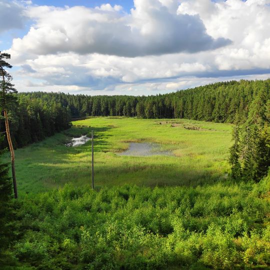 Paplatelės pažintinis takas