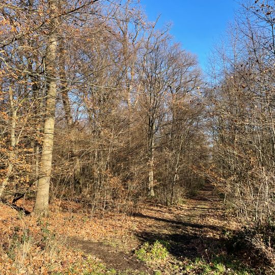 NSG Stiefelsbach und Zufluesse