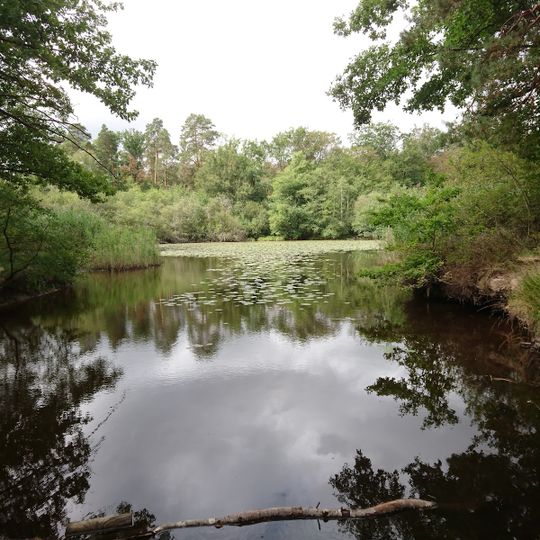 Saint-Bonnet-Tronçais