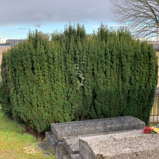 Tombeau de la famille Basseville