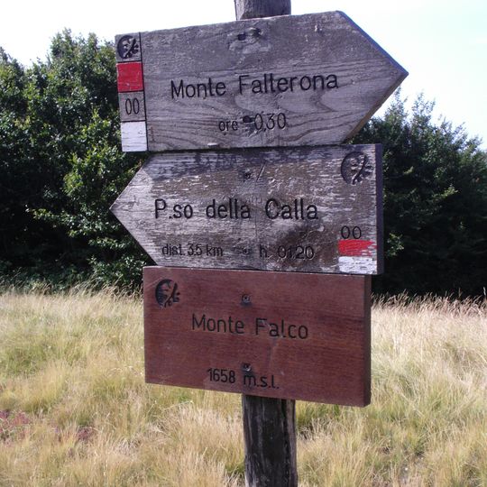 Monte Falco