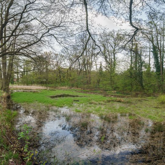 Alluvial pond in Kobershain