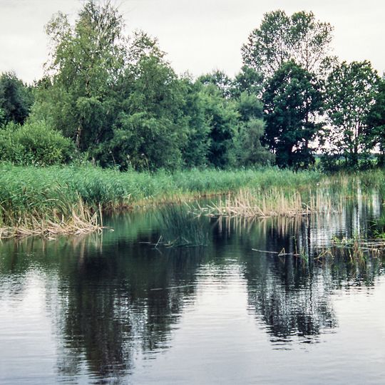 Kammmolch-Biotop Plockhorst