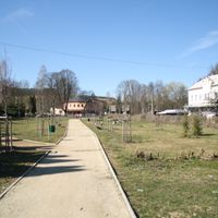 Rožany