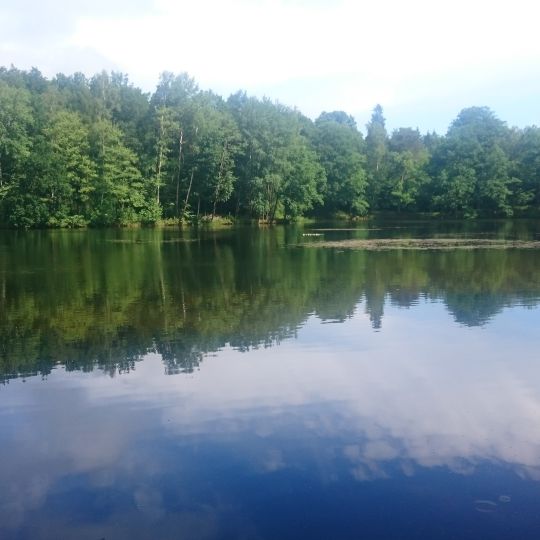 Kohlbach- und Ettelsbachtal