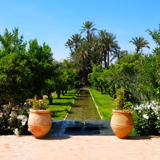 Musée de la palmeraie, Art contemporain et nature