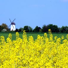 Windmill, tourist attraction