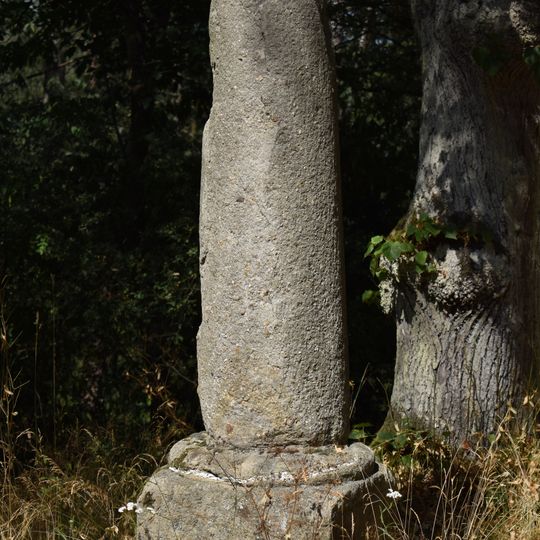 Boží muka severovýchodně u Plešnic