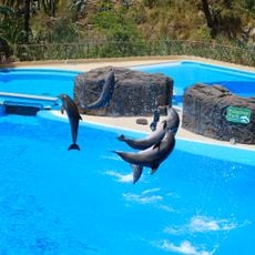 Palmitos Park