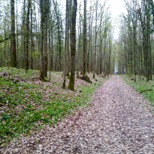 Große Keltenschanze