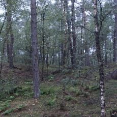 Terrein waarin twee grafheuvels