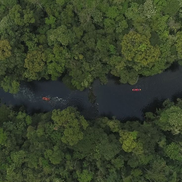 Parque das Neblinas