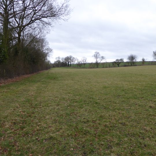 Boddington Meadow