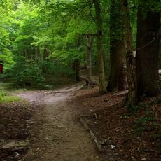 Kadyński Forest Nature Reserve