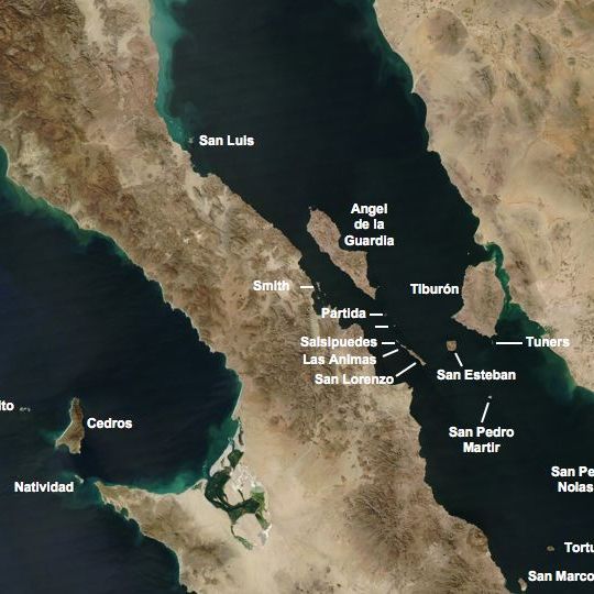 San Pedro Mártir Island