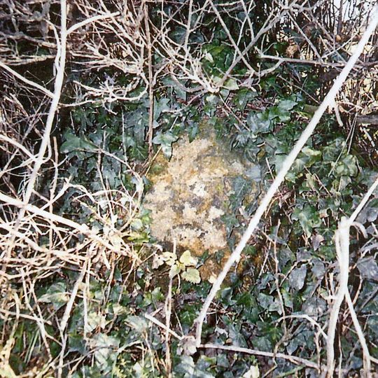 Milestone, S of village, just S of Mare drove