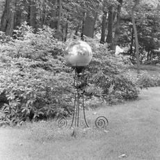 Overcingel, heksenbol