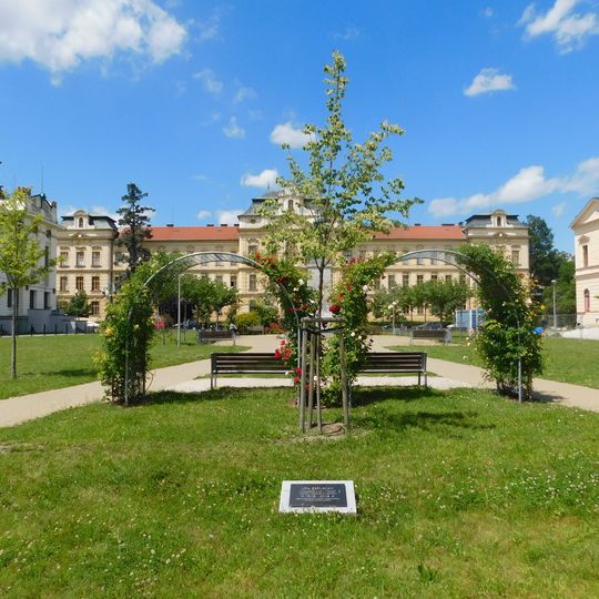 Lípa republiky v parku Výstaviště