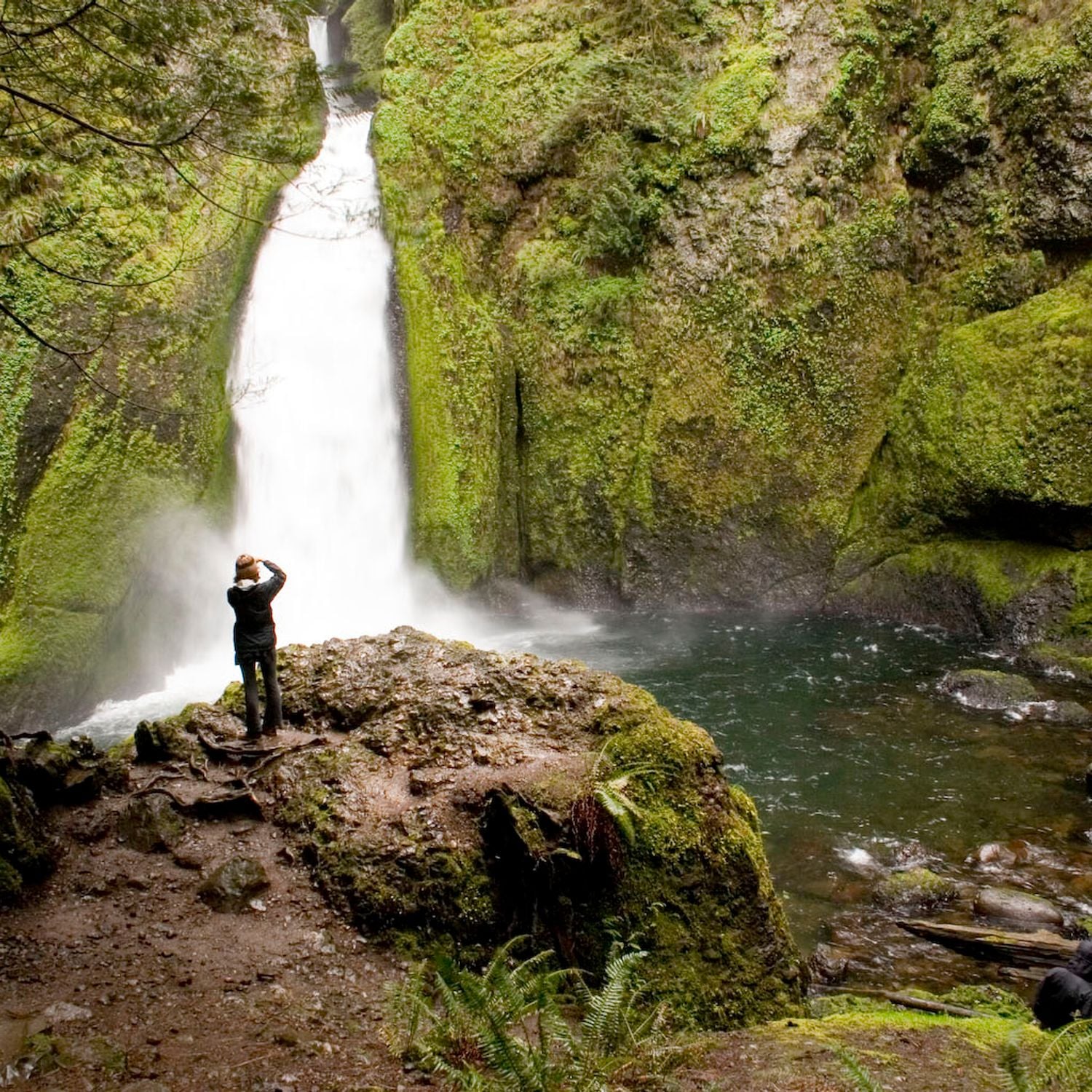 Wahclella Falls Cascade Dans Columbia River Gorge Oregon tats Unis wahclella-falls-cascade-dans-columbia-river-gorge-oregon-tats-unis