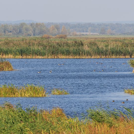 Park Narodowy „Ujście Warty”