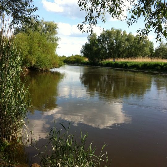 Ilmenau-Luhe-Niederung