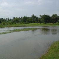 Banteay Meanchey Province