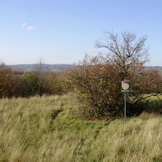 Stepní stráň u Komořan