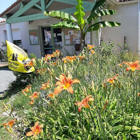 Camping du Parc