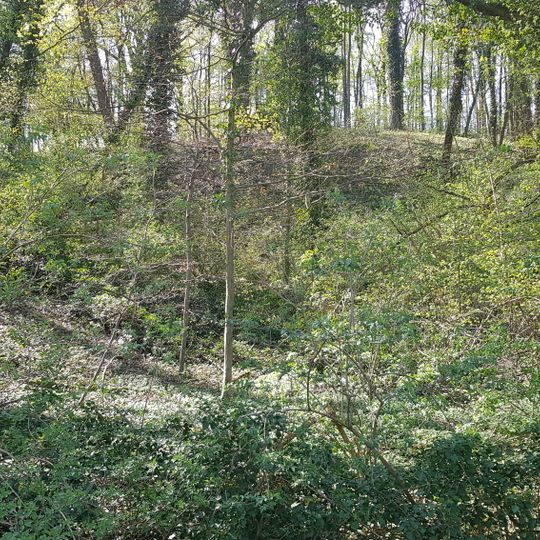 Groeve Pruus Karel III