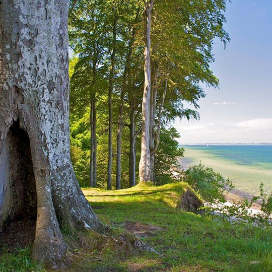 Schleswig-Holsteinische Landesforsten