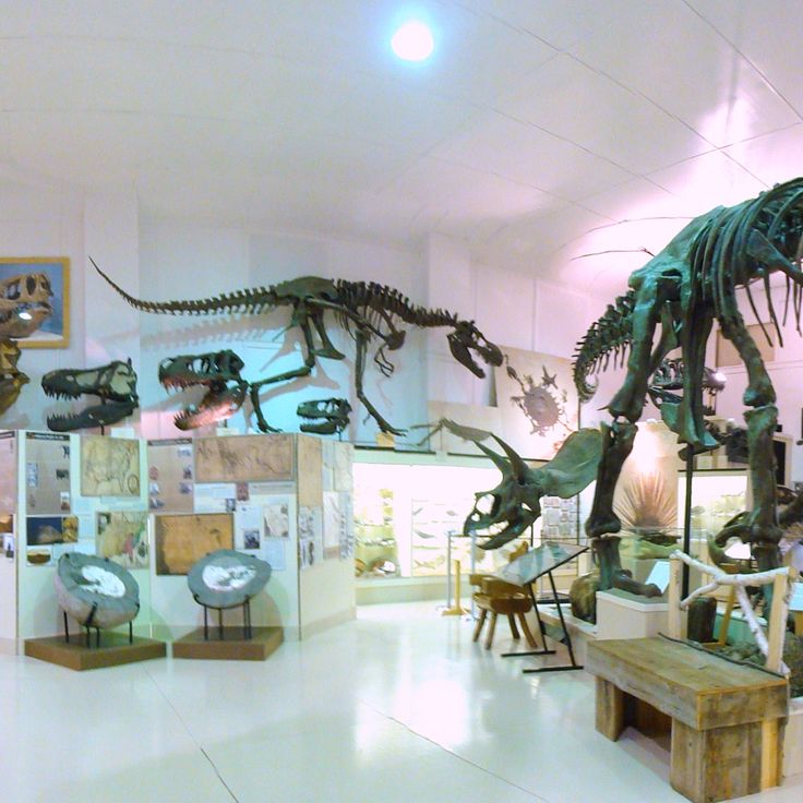 Muzeum @ Instytut Black Hills