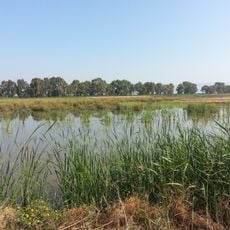 Lago Salso