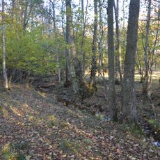 Norra Fågelås naturreservat