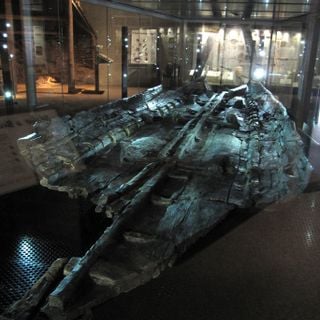 Dover Bronze Age Boat