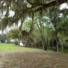Magnolia Park