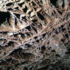 Parco nazionale di Wind Cave