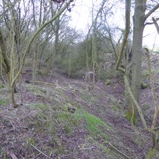 Thrapston Station Quarry